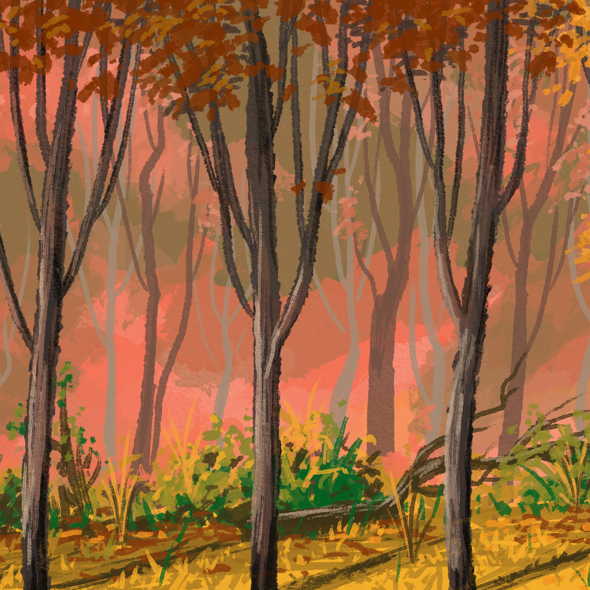 Traditional Fall Study