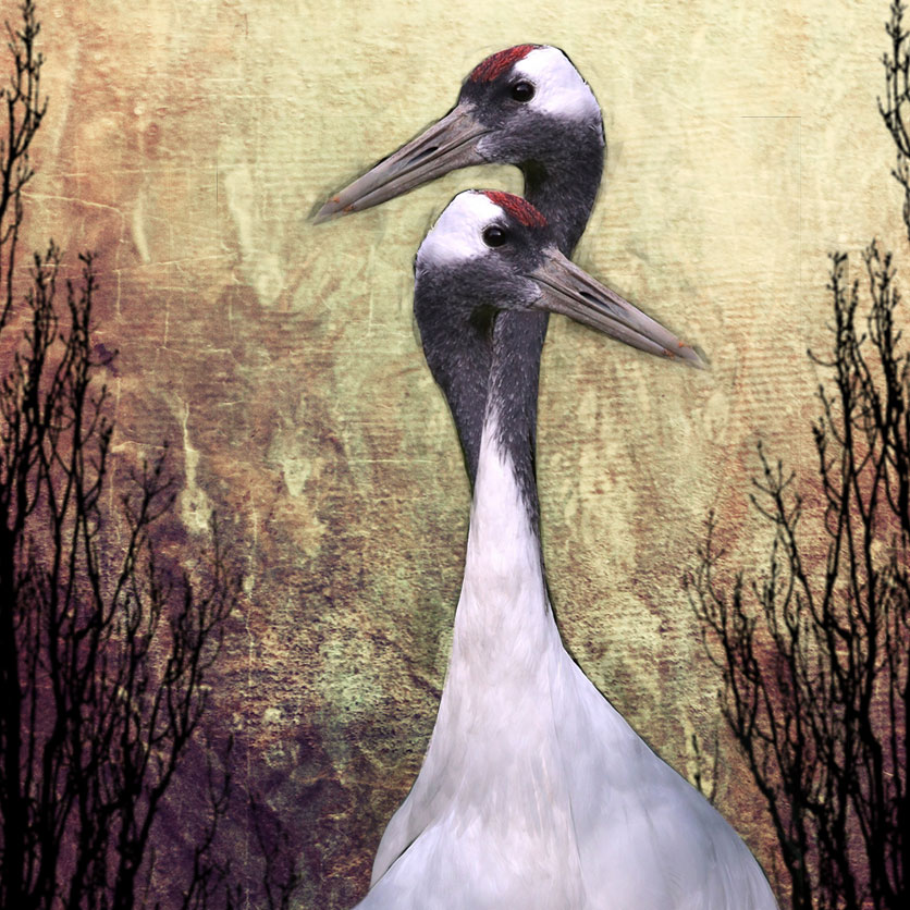 Manipulation - In Love